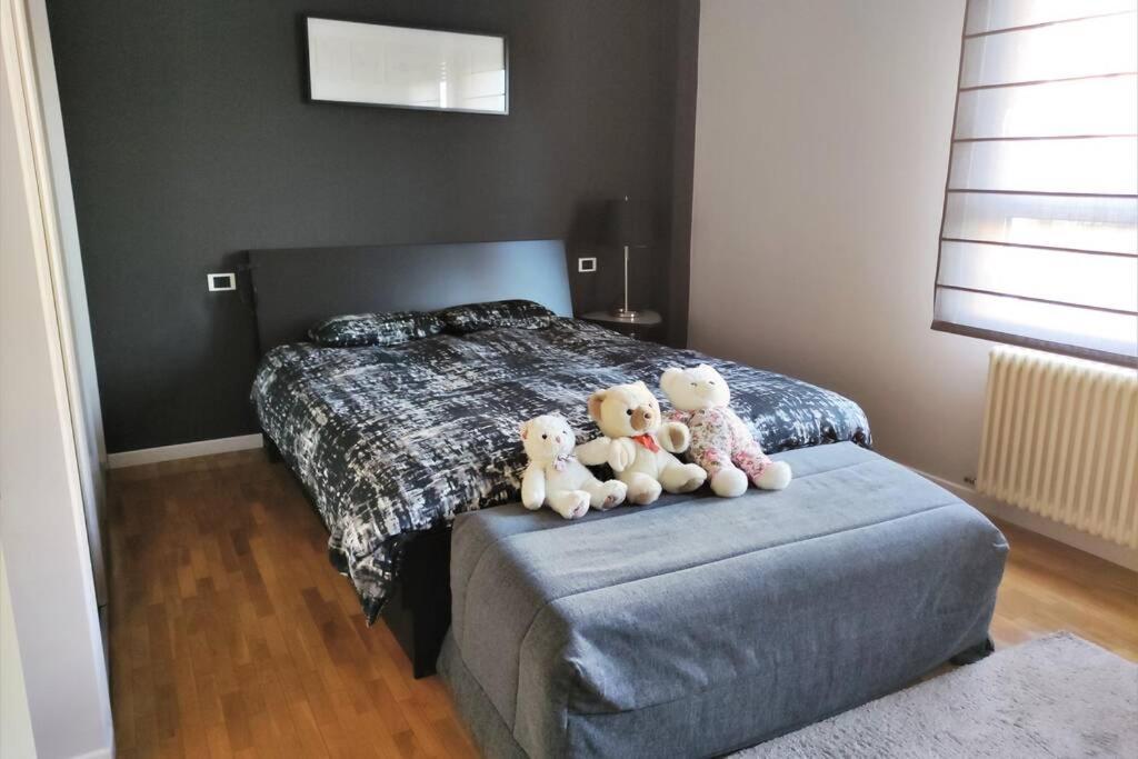 Apartamento Moderno Muy Acogedor Y Luminoso •león